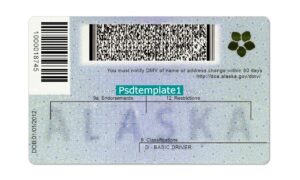 Alaska Drivers License template PSD | High-Quality & Editable