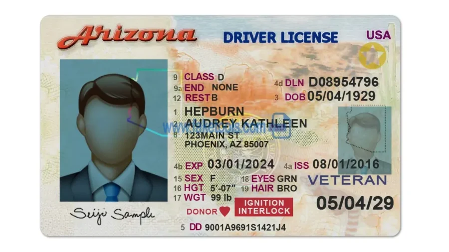 Arizona Drivers License template PSD | High-Quality & Editable