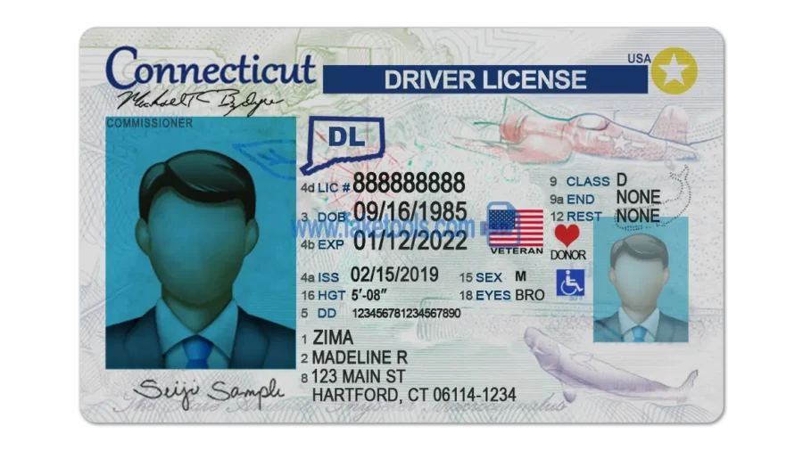 Connecticut Drivers License template PSD | High-Quality & Editable