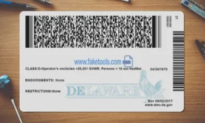 Delaware Drivers License template PSD | High-Quality & Editable