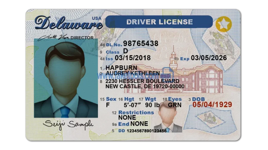 Delaware Drivers License template PSD | High-Quality & Editable