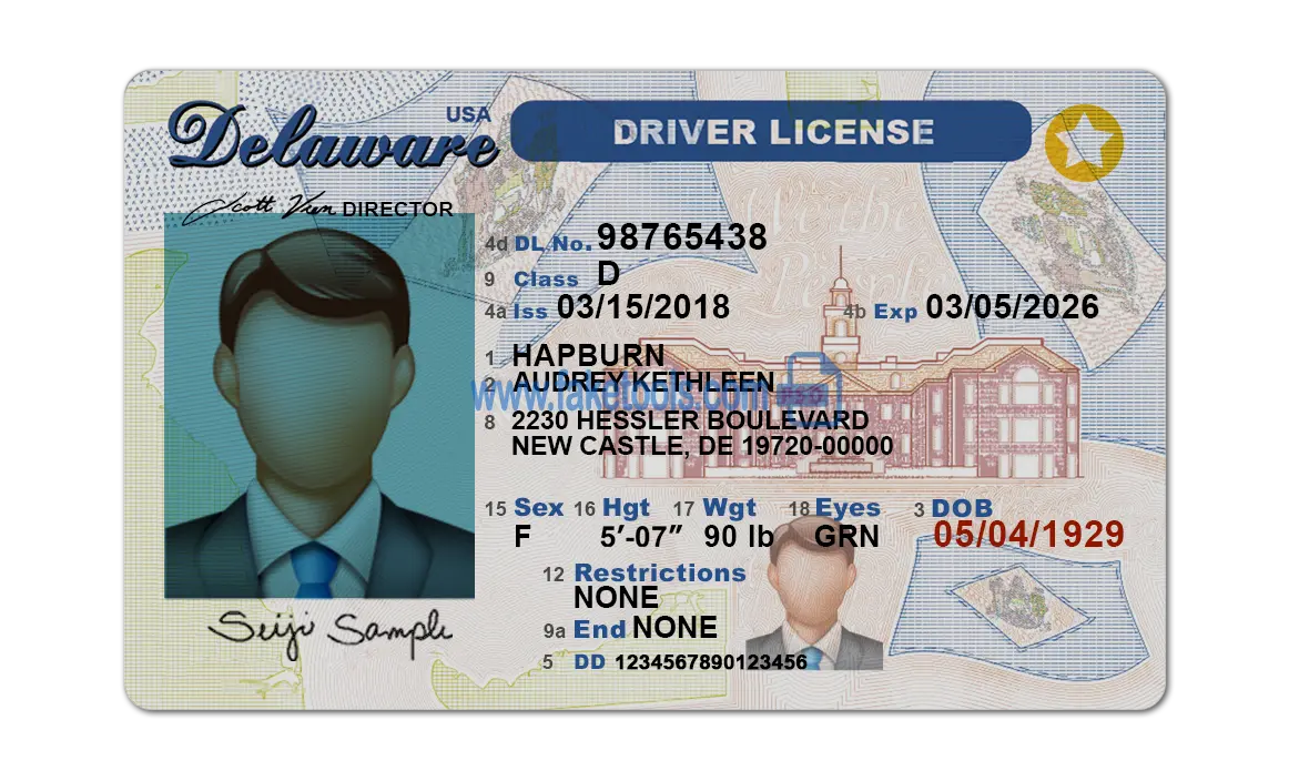 Delaware Drivers License template PSD | High-Quality & Editable