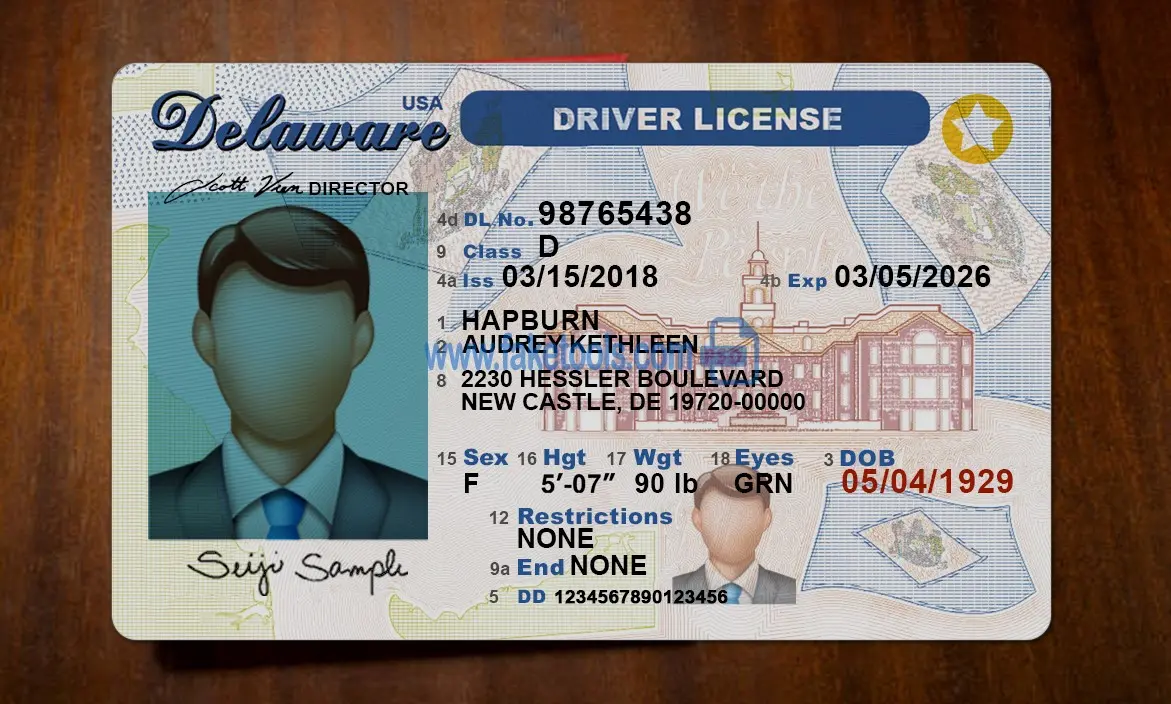 Delaware Drivers License template psd - Image 3