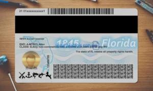 Florida Drivers License template PSD | High-Quality & Editable