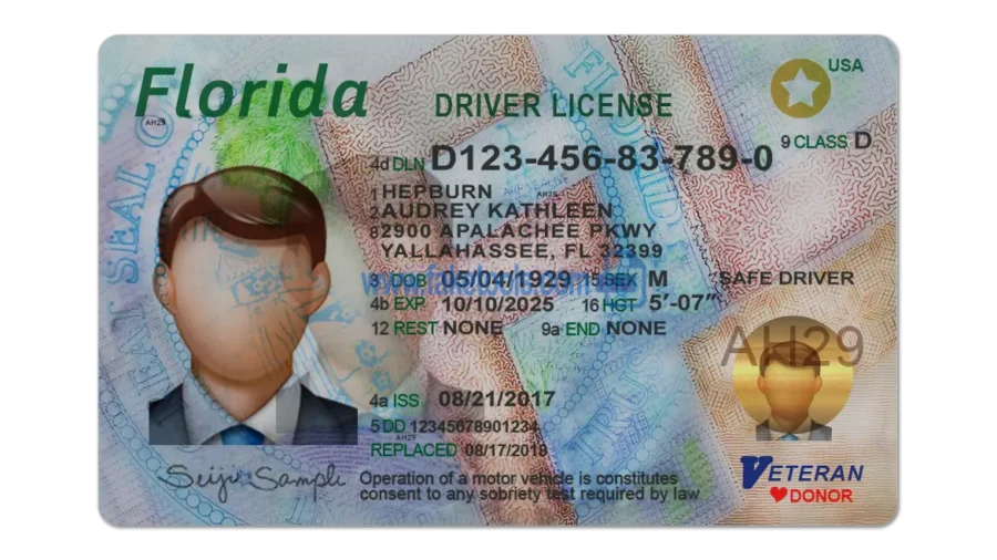 Florida Drivers License template PSD | High-Quality & Editable