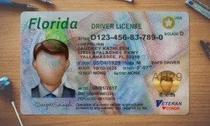 Florida Drivers License template PSD | High-Quality & Editable