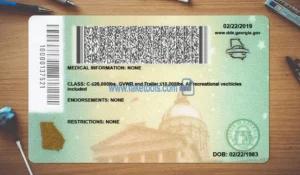 Georgia Drivers License template PSD | High-Quality & Editable