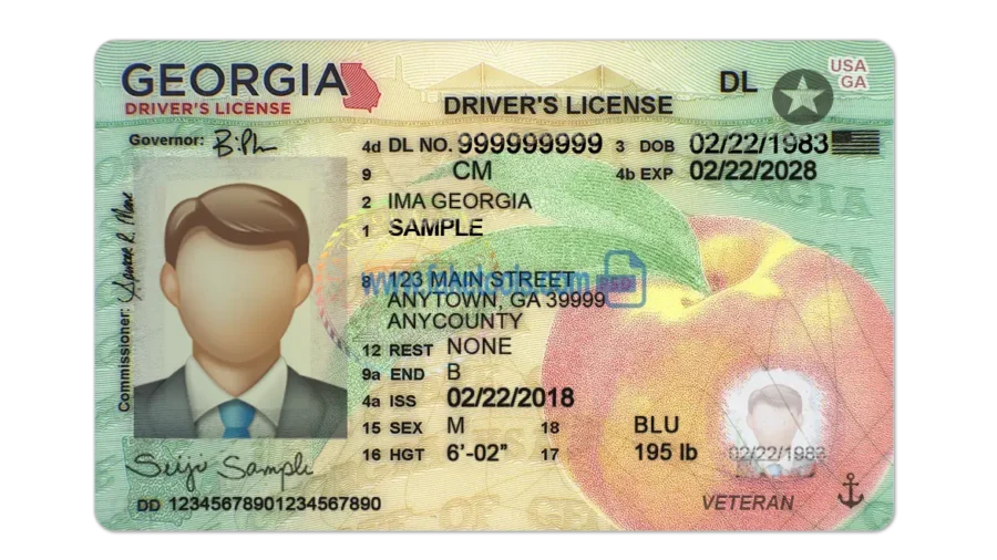 Georgia Drivers License template PSD | High-Quality & Editable