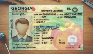 Georgia Drivers License template PSD | High-Quality & Editable