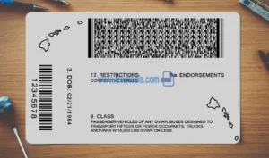 Hawaii Drivers License template PSD | High-Quality & Editable