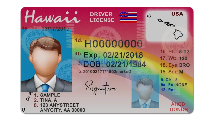 Hawaii Drivers License template PSD | High-Quality & Editable