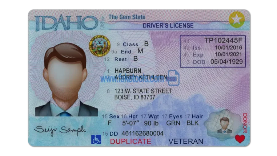 Idaho Drivers License template PSD | High-Quality & Editable