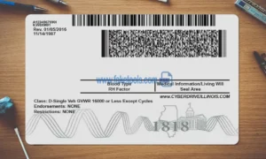 Illinois Drivers License template PSD | High-Quality & Editable