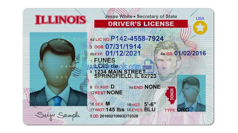 Illinois Drivers License template PSD | High-Quality & Editable
