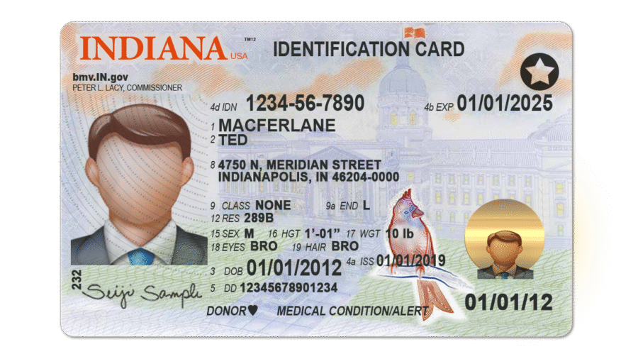 Indiana Drivers License template PSD | High-Quality & Editable