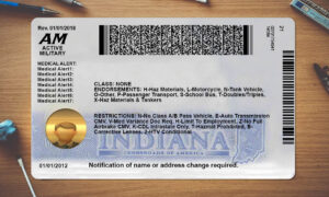 Indiana Drivers License template PSD | High-Quality & Editable