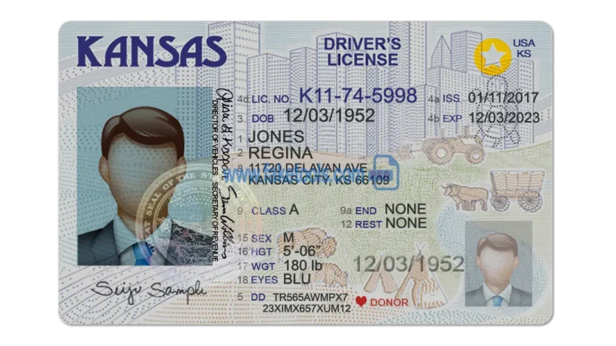 Kansas Drivers License template PSD | High-Quality & Editable