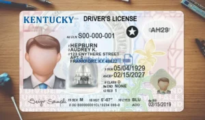Kentucky Drivers License template PSD | High-Quality & Editable
