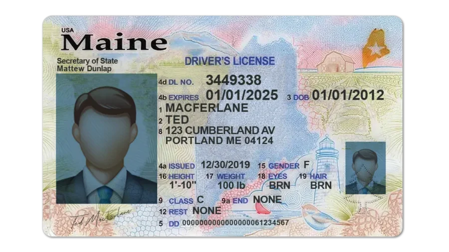 Maine Drivers License template PSD | High-Quality & Editable