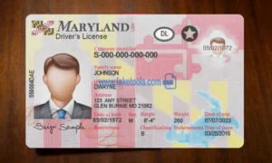 Maryland Drivers License template PSD | High-Quality & Editable