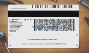 Michigan Drivers License template PSD | High-Quality & Editable