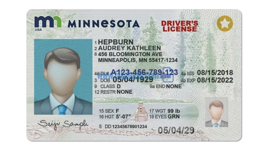 Minnesota Drivers License template PSD | High-Quality & Editable
