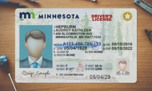 Minnesota Drivers License template PSD | High-Quality & Editable