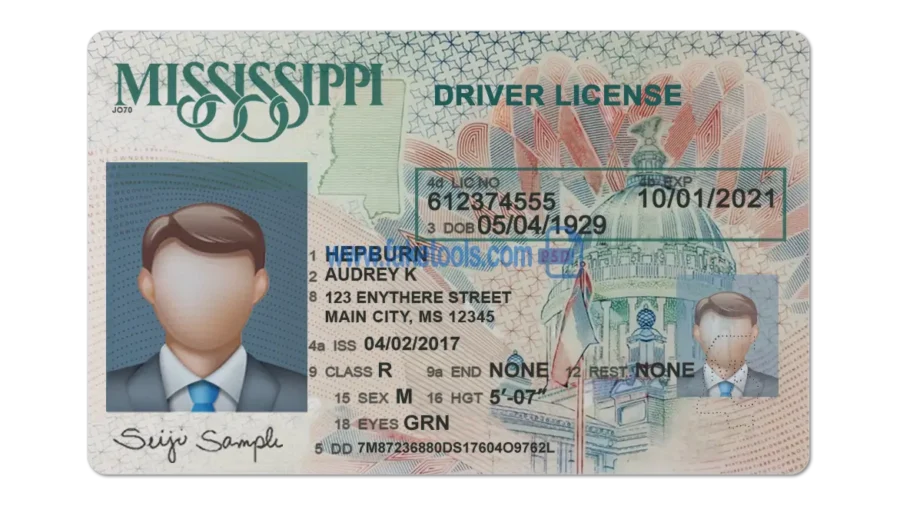 Mississippi Drivers License template PSD | High-Quality & Editable
