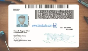 Montana Drivers License template PSD | High-Quality & Editable