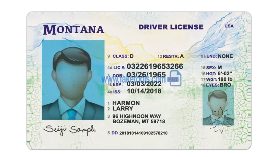 Montana Drivers License template PSD | High-Quality & Editable