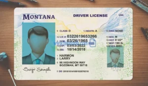 Montana Drivers License template PSD | High-Quality & Editable