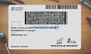 Nevada Drivers License template PSD | High-Quality & Editable