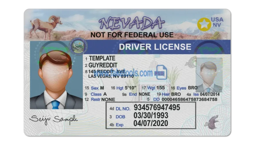 Nevada Drivers License template PSD | High-Quality & Editable
