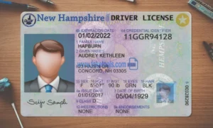 New Hampshire Drivers License template PSD | High-Quality & Editable