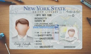 New York Drivers License template PSD | High-Quality & Editable
