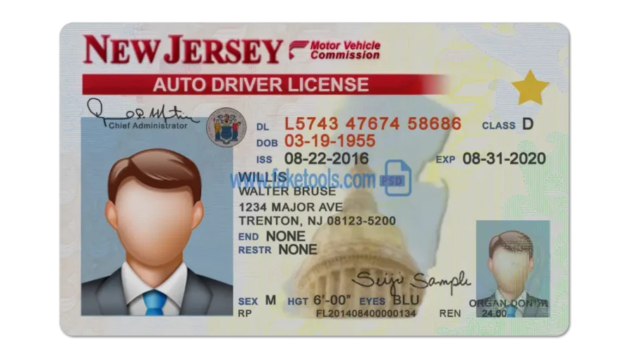 New Jersey Drivers License template PSD | High-Quality & Editable