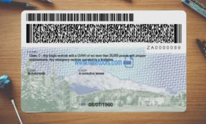 Oregon Drivers License template PSD | High-Quality & Editable