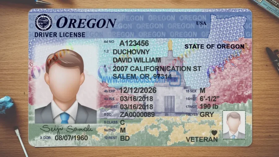 Oregon Drivers License template PSD | High-Quality & Editable