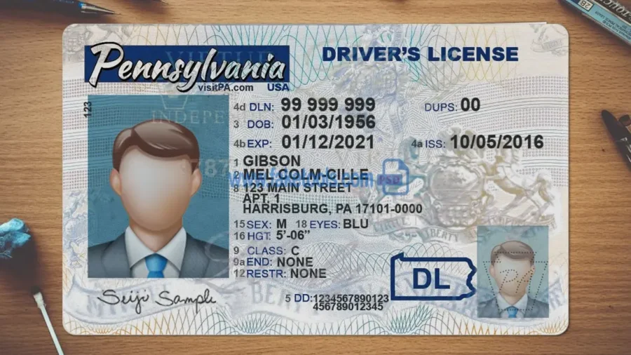 Pennsylvania Drivers License template PSD | High-Quality & Editable