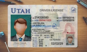 Utah Drivers License template PSD | High-Quality & Editable