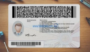 Virginia Drivers License template PSD | High-Quality & Editable