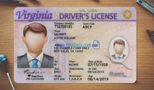 Virginia Drivers License template PSD | High-Quality & Editable