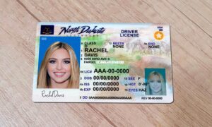 North Dakota Drivers License template PSD | High-Quality & Editable