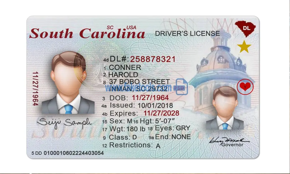 South Carolina Drivers License template PSD | High-Quality & Editable (old and new version) - Image 2