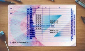 Czech Republic Driver License Template PSD