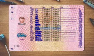 Denmark Drivers License template PSD | High-Quality & Editable