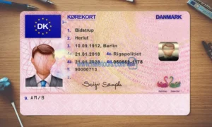 Denmark Drivers License template PSD | High-Quality & Editable