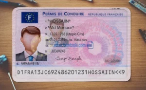 France Drivers License template PSD | High-Quality & Editable