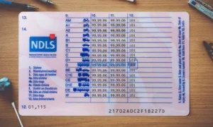 Ireland Drivers License template PSD | High-Quality & Editable