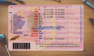 Netherlands Drivers License template PSD | High-Quality & Editable